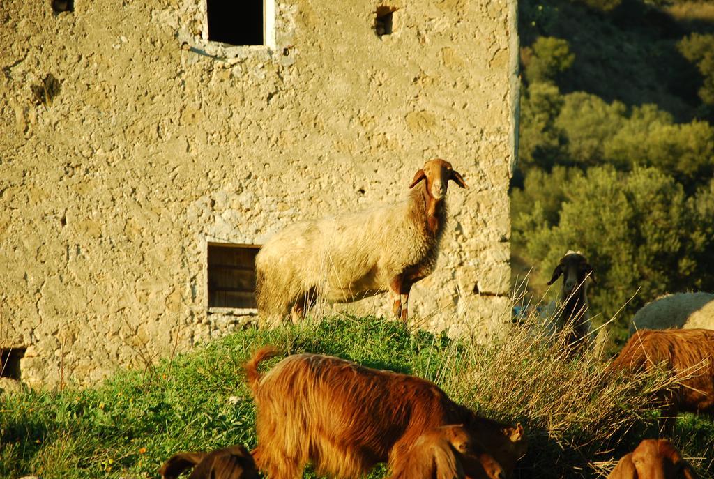 ホテル Experience Il Paesino Licodia Eubea エクステリア 写真