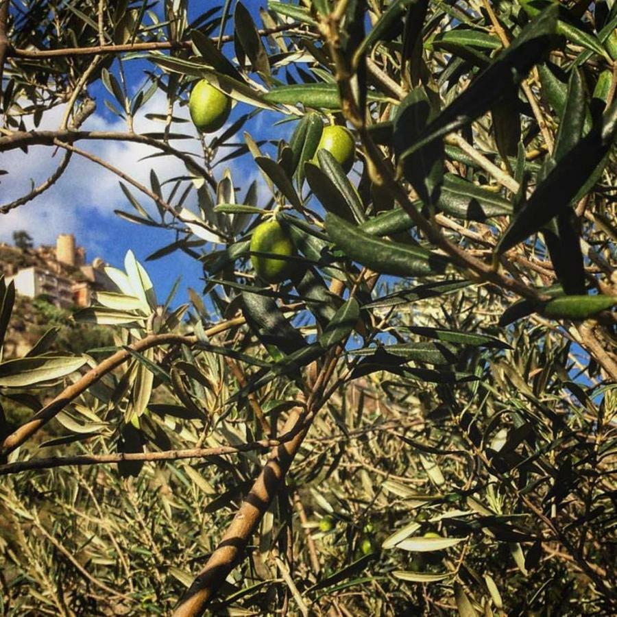 ホテル Experience Il Paesino Licodia Eubea エクステリア 写真